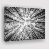 Black Tree Branches Canvas Prints Wall Art Decor - Painting Canvas,Home Decor, Ready to Hang