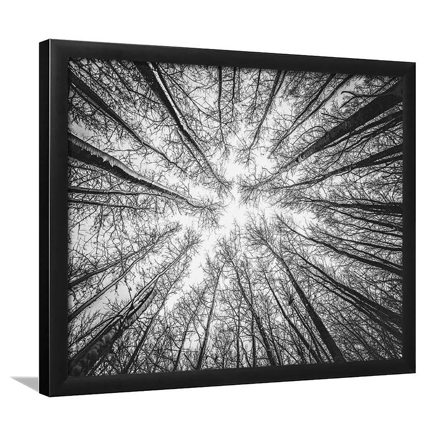 Black Tree Branches Framed Art Prints Wall Art Decor, Framed Picture, Home Decor