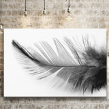 Black White Feather Canvas Prints Wall Art Decor - Painting Canvas,Home Decor, Ready to Hang