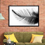 Black White Feather Black And White Feather Framed Art Prints Wall Decor - Painting Art,Framed Picture,For Sale, Ready to hang