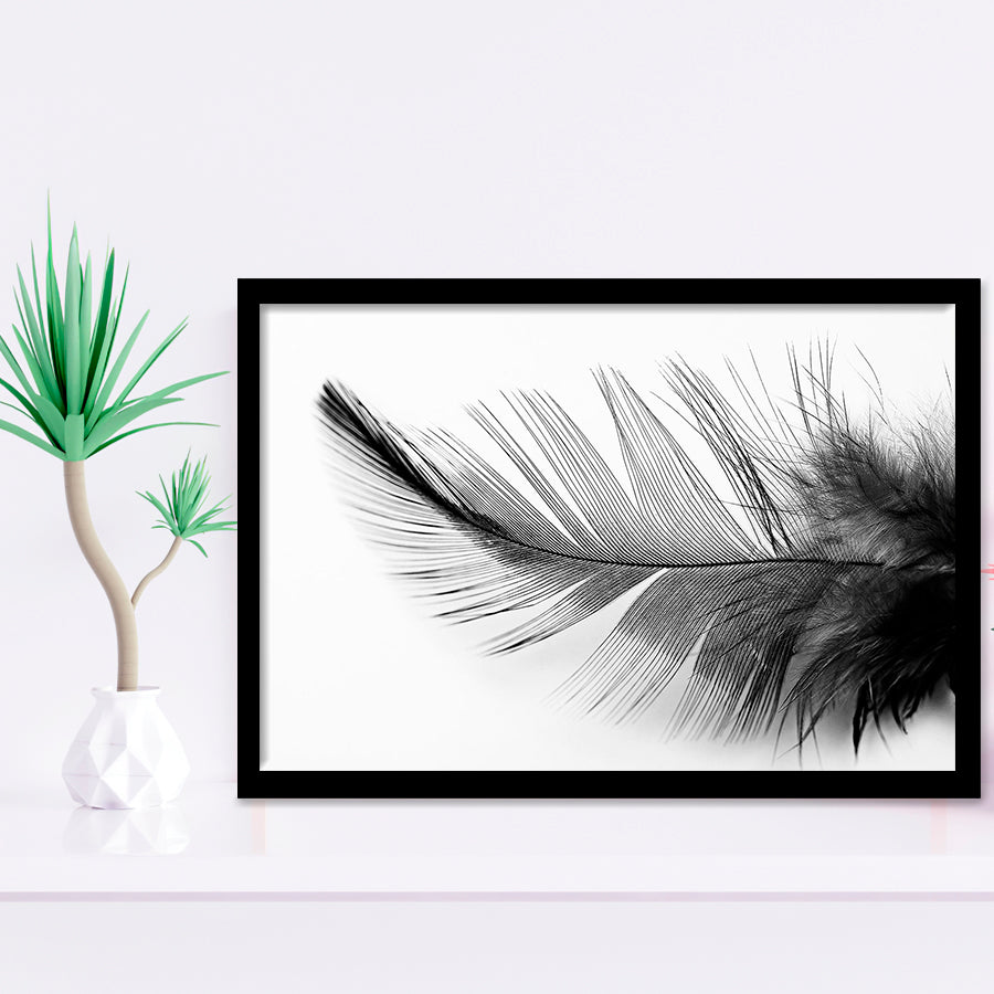 Black White Feather Black And White Feather Framed Art Prints Wall Decor - Painting Art,Framed Picture,For Sale, Ready to hang