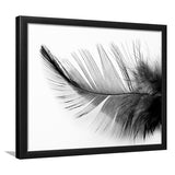 Black White Feather Black And White Feather Framed Art Prints Wall Decor - Painting Art,Framed Picture,For Sale, Ready to hang