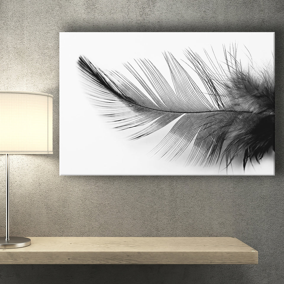 Black White Feather Black And White Feather Landscape Canvas Prints Wall Art Home Decor - Painting Canvas, Ready to hang