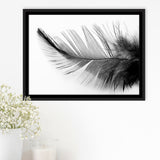 Black White Feather Framed Canvas Prints Wall Art Decor, Framed Picture, Floating Frame