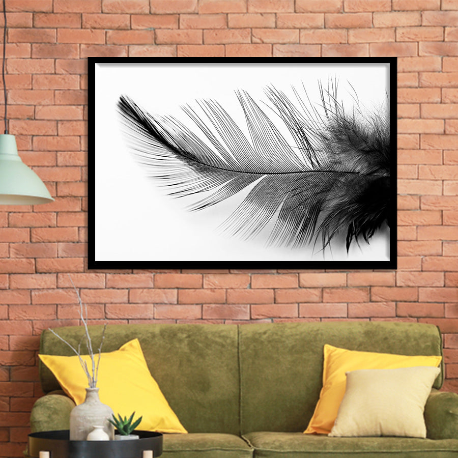 Black White Feather Framed Art Prints Wall Art Decor, Framed Picture, Home Decor