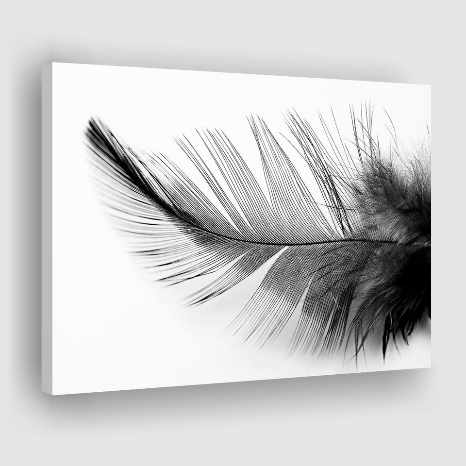 Black White Feather Canvas Prints Wall Art Decor - Painting Canvas,Home Decor, Ready to Hang