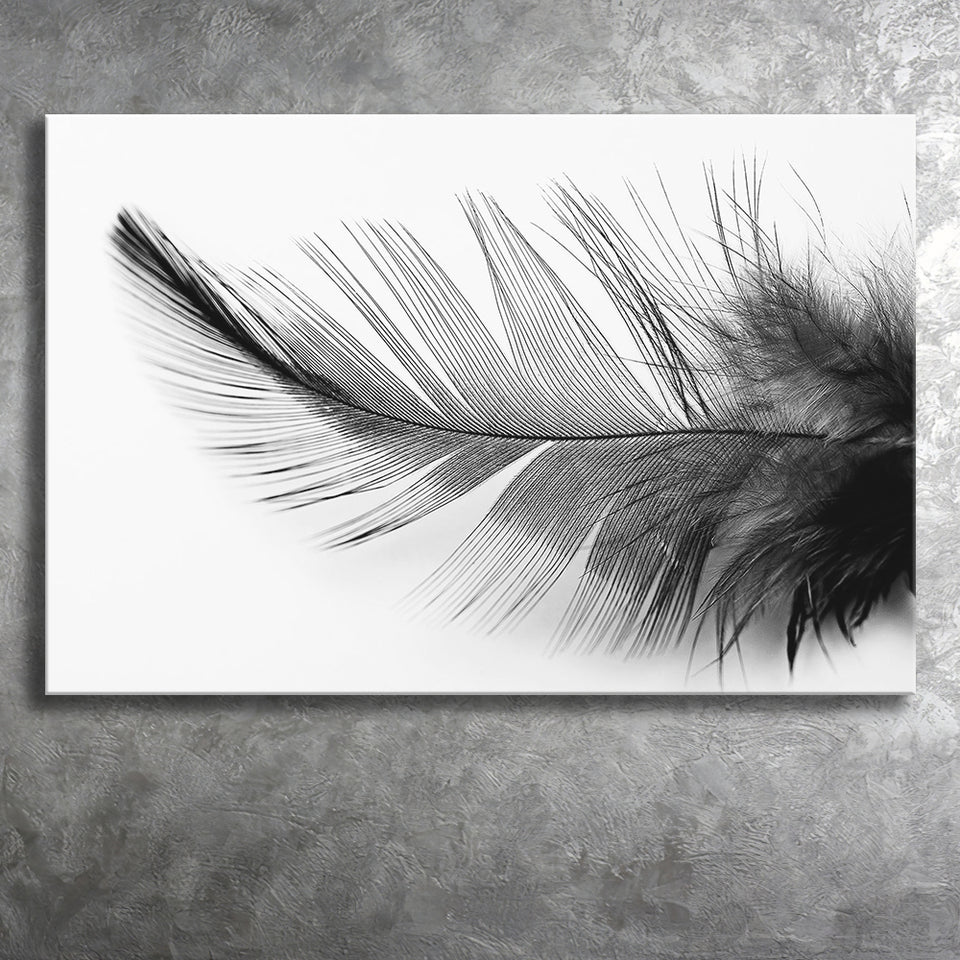 Black White Feather Canvas Prints Wall Art Decor - Painting Canvas,Home Decor, Ready to Hang