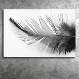 Black White Feather Canvas Prints Wall Art Decor - Painting Canvas,Home Decor, Ready to Hang