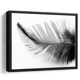 Black White Feather Framed Canvas Prints Wall Art Decor, Framed Picture, Floating Frame