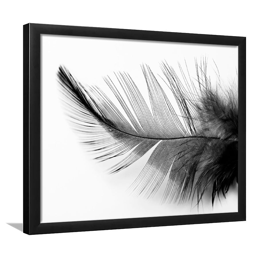 Black White Feather Framed Art Prints Wall Art Decor, Framed Picture, Home Decor