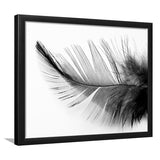 Black White Feather Framed Art Prints Wall Art Decor, Framed Picture, Home Decor