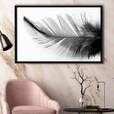 Black White Feather Framed Canvas Prints Wall Art Decor, Framed Picture, Floating Frame
