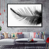 Black White Feather Framed Canvas Prints Wall Art Decor, Framed Picture, Floating Frame