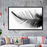 Black White Feather Framed Art Prints Wall Art Decor, Framed Picture, Home Decor