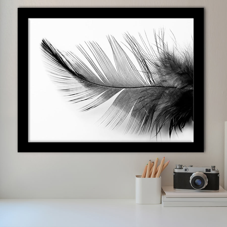 Black White Feather Framed Art Prints Wall Art Decor, Framed Picture, Home Decor