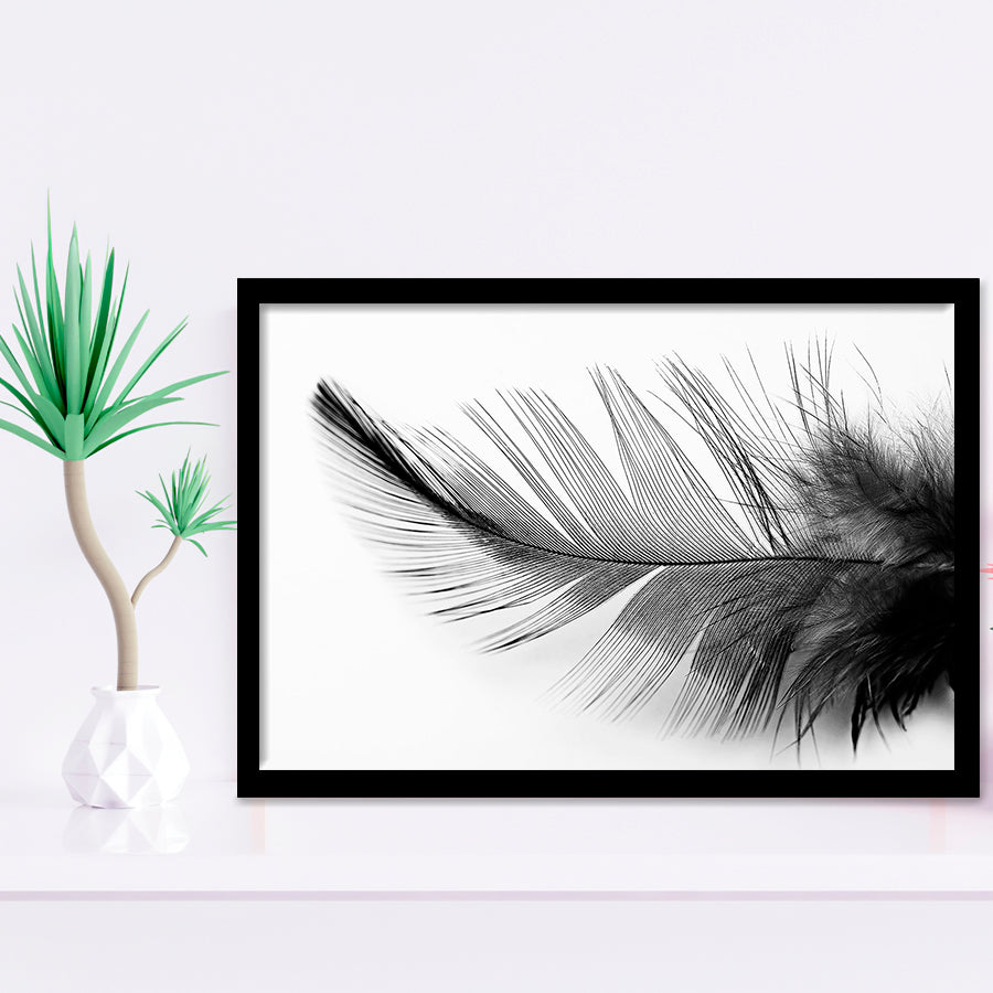 Black White Feather Framed Art Prints Wall Art Decor, Framed Picture, Home Decor