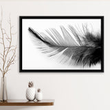 Black White Feather Framed Canvas Prints Wall Art Decor, Framed Picture, Floating Frame