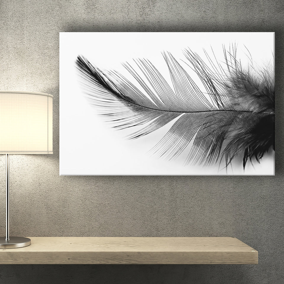 Black White Feather Canvas Prints Wall Art Decor - Painting Canvas,Home Decor, Ready to Hang