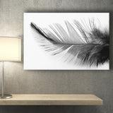 Black White Feather Canvas Prints Wall Art Decor - Painting Canvas,Home Decor, Ready to Hang