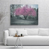 Black And White Blooming Sakura In New York Central Park Canvas Wall Art - Canvas Prints, Prints for Sale, Canvas Painting