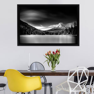 Black and White Nature Canvas Wall Art - Framed Art, Prints For Sale, Painting For Sale, Framed Canvas, Painting Canvas