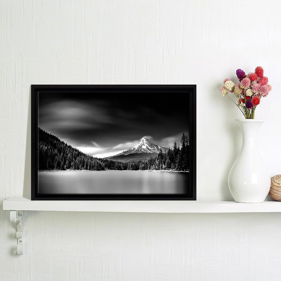 Black and White Nature Canvas Wall Art - Framed Art, Prints For Sale, Painting For Sale, Framed Canvas, Painting Canvas