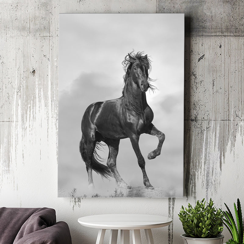 Black Horse, Black And White Canvas Prints Wall Art Home Decor