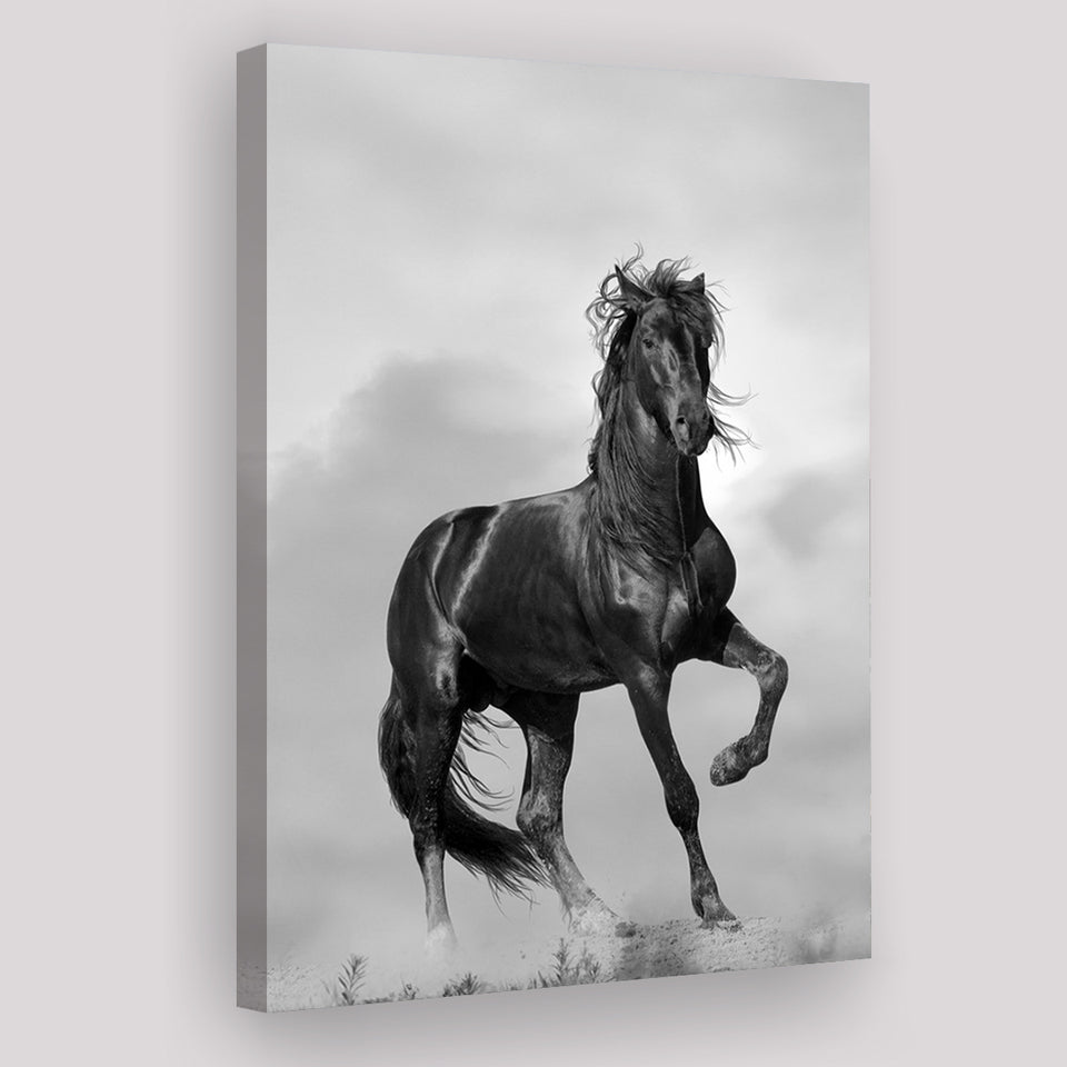 Black Horse, Black And White Canvas Prints Wall Art Home Decor