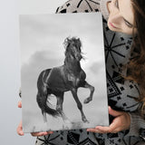Black Horse, Black And White Canvas Prints Wall Art Home Decor