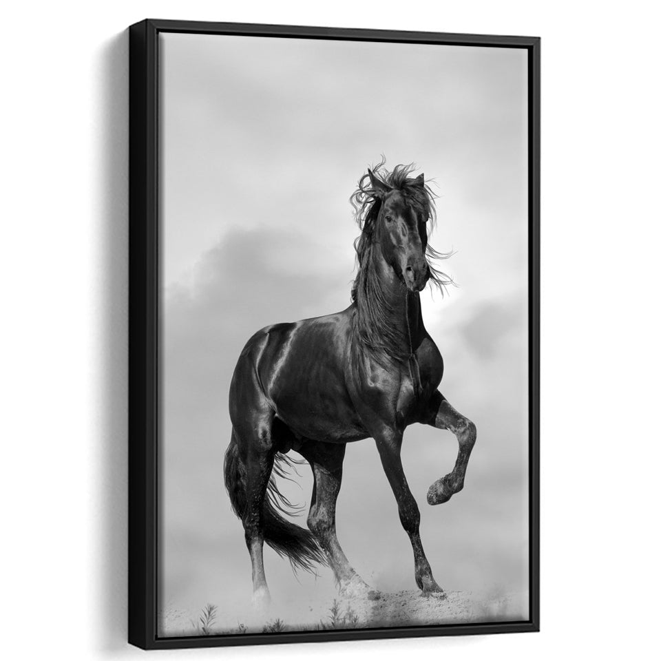 Black Horse, Black And White Framed Canvas Prints Wall Art Home Decor, Floating Frame