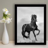 Black Horse, Black And White Framed Art Print Wall Art Decor,Framed Picture