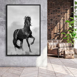 Black Horse, Black And White Framed Canvas Prints Wall Art Home Decor, Floating Frame