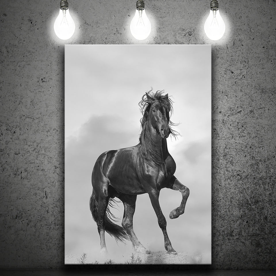 Black Horse, Black And White Canvas Prints Wall Art Home Decor
