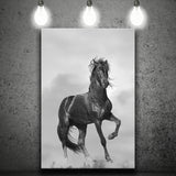Black Horse, Black And White Canvas Prints Wall Art Home Decor