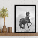 Black Horse, Black And White Framed Canvas Prints Wall Art Home Decor, Floating Frame
