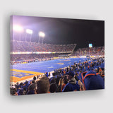 Boise State Broncos Wall Art Alberstsons Stadium Canvas Prints,Sport Stadium Art Prints, Fan Gift, Wall Decor