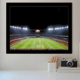 Boris Paichadze Dinamo Arena, Stadium Canvas, Sport Art, Gift for him, Framed Art Prints Wall Art Decor, Framed Picture