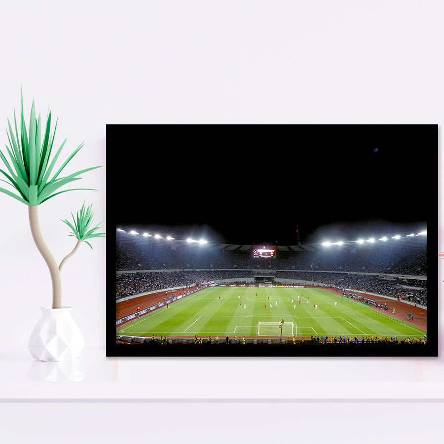 Boris Paichadze Dinamo Arena, Stadium Canvas, Sport Art, Gift for him, Framed Art Prints Wall Art Decor, Framed Picture