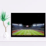 Boris Paichadze Dinamo Arena, Stadium Canvas, Sport Art, Gift for him, Framed Art Prints Wall Art Decor, Framed Picture