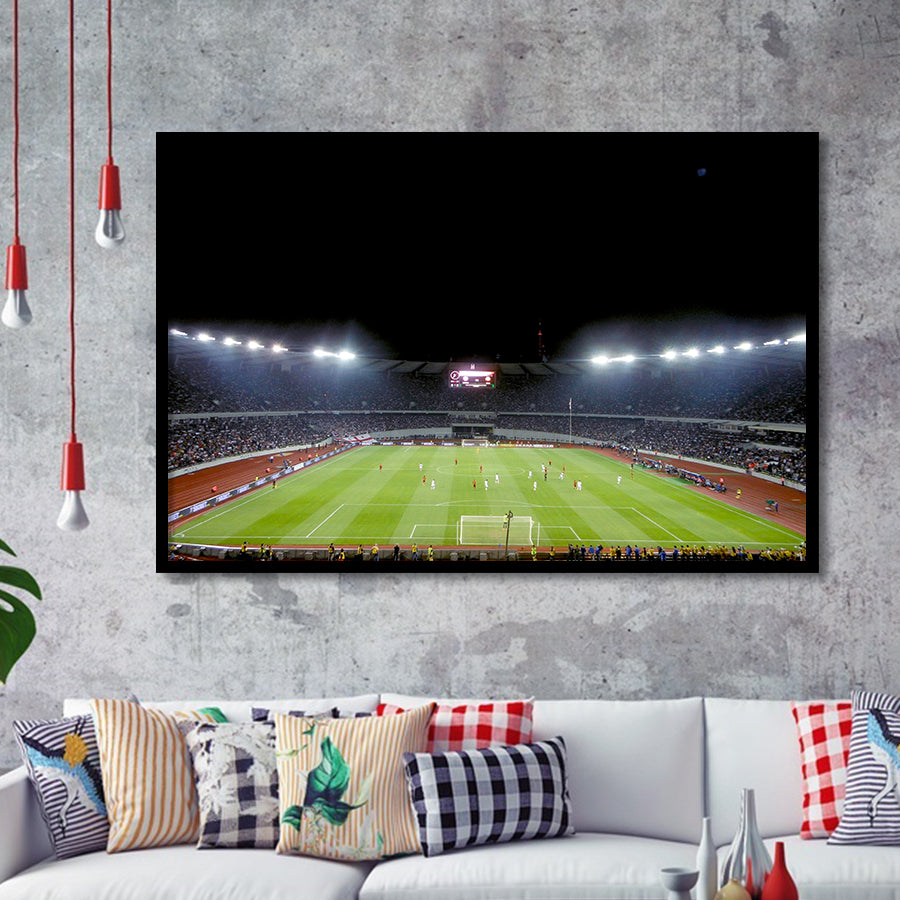 Boris Paichadze Dinamo Arena, Stadium Canvas, Sport Art, Gift for him, Framed Art Prints Wall Art Decor, Framed Picture