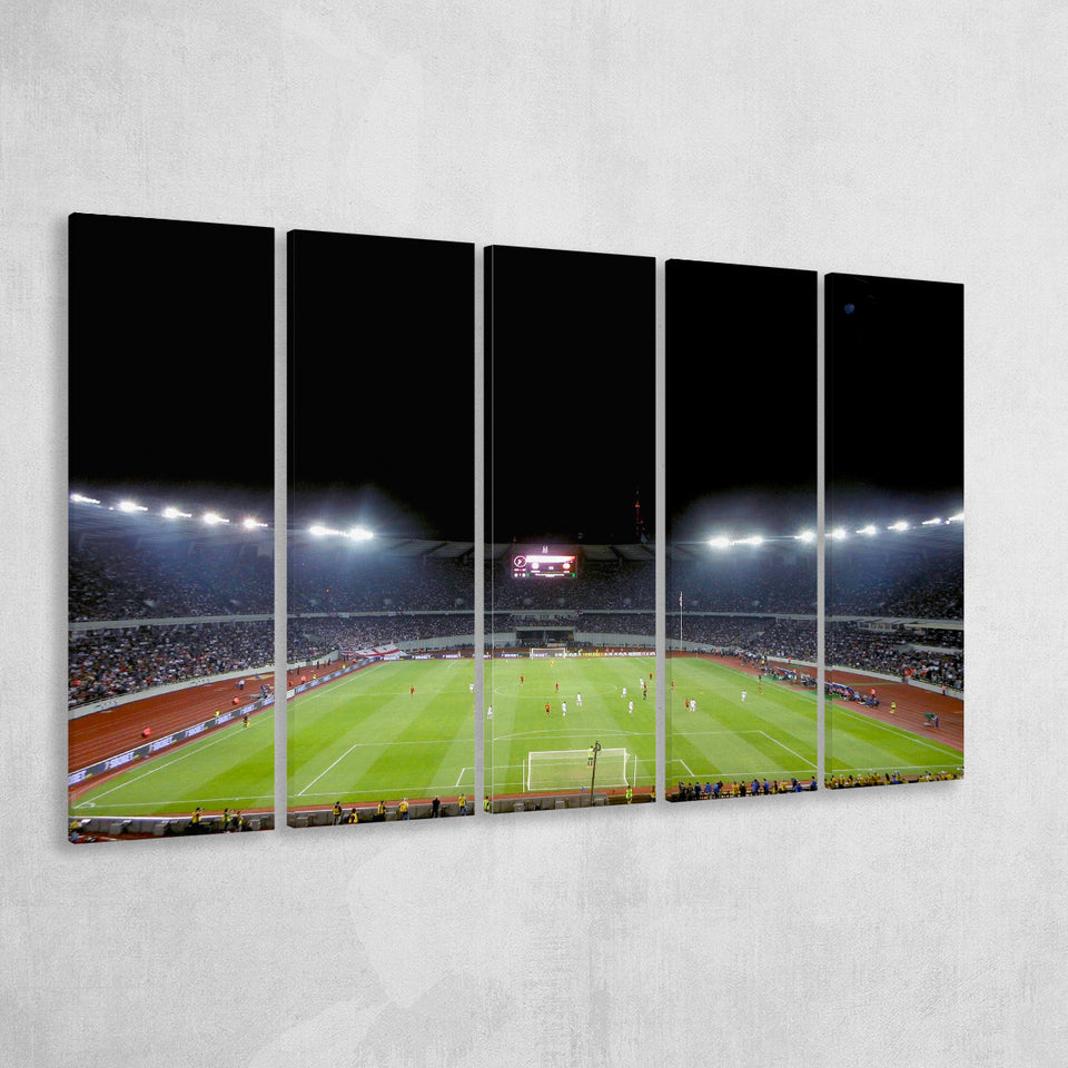 Boris Paichadze Dinamo Arena, Stadium Canvas, Sport Art, Gift for him, Multi Panels B, Canvas Prints Wall Art Decor