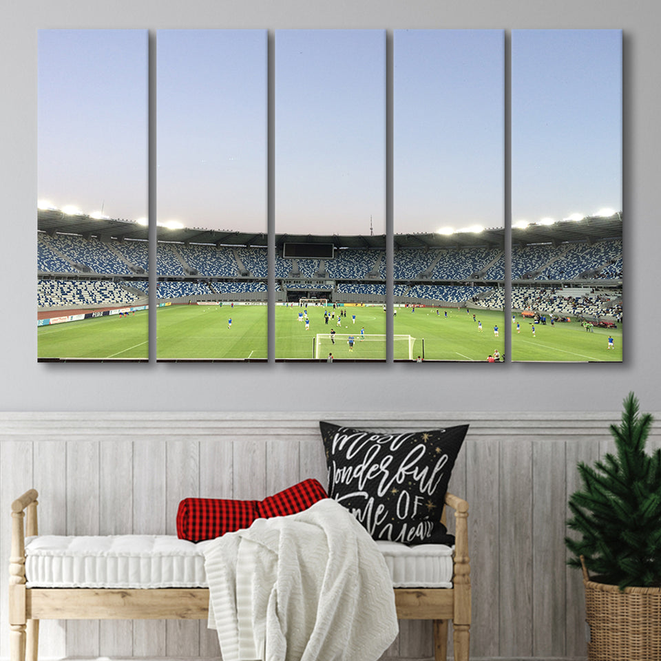 Boris Paichadze Dinamo, Stadium Canvas, Sport Art, Gift for him, Multi Panels B, Canvas Prints Wall Art Decor