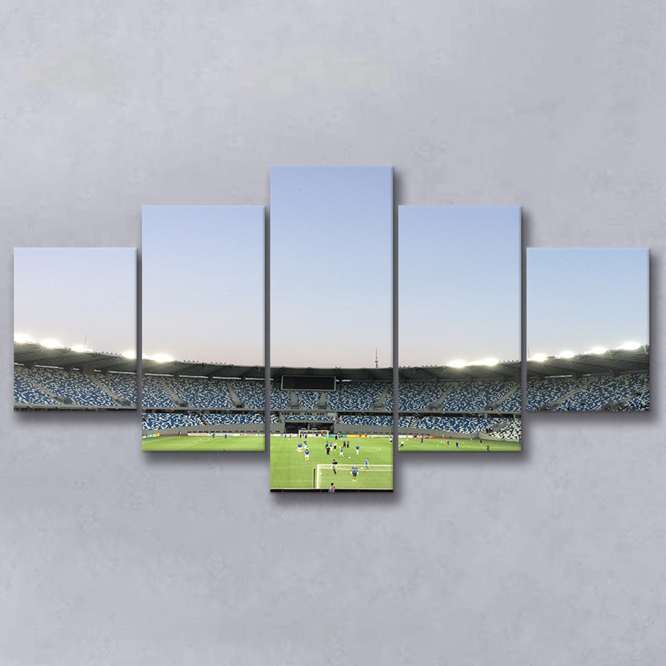 Boris Paichadze Dinamo, Stadium Canvas, Sport Art, Large Canvas, Multi Panels, Canvas Prints Wall Art Decor
