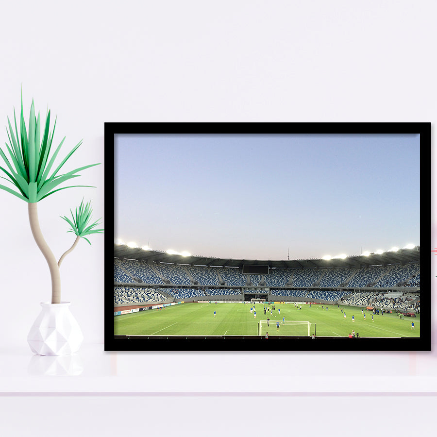 Boris Paichadze Dinamo, Stadium Canvas, Sport Art, Gift for him, Framed Art Prints Wall Art Decor, Framed Picture