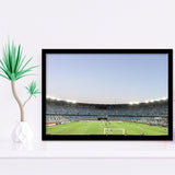 Boris Paichadze Dinamo, Stadium Canvas, Sport Art, Gift for him, Framed Art Prints Wall Art Decor, Framed Picture