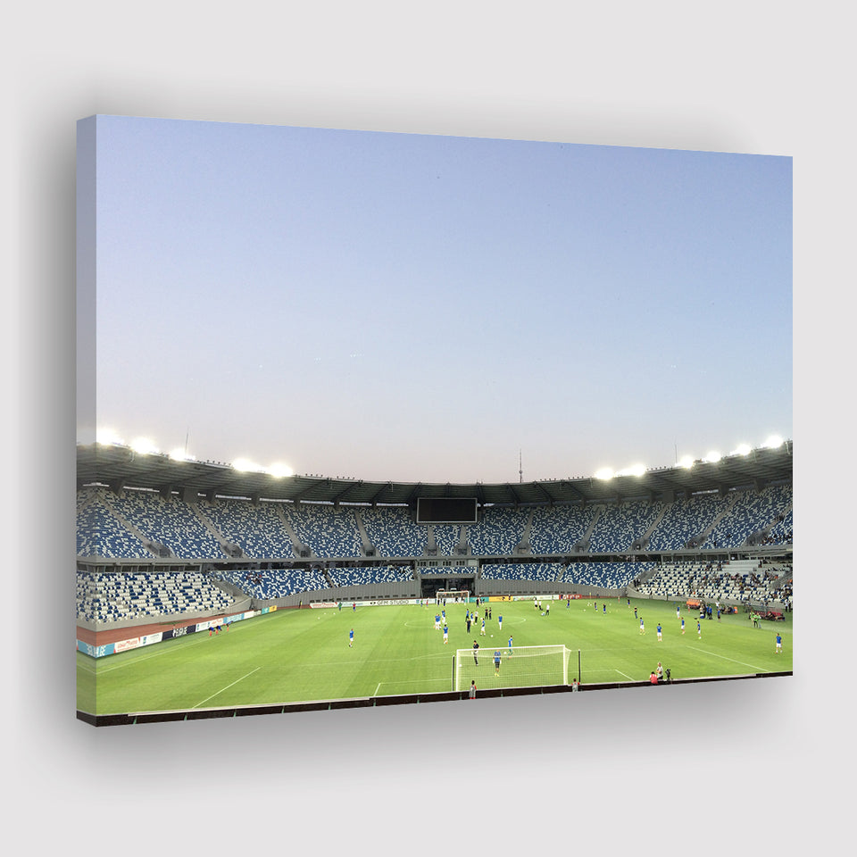 Boris Paichadze Dinamo, Stadium Canvas, Sport Art, Gift for him, Fan Gift, Canvas Prints Wall Art Decor
