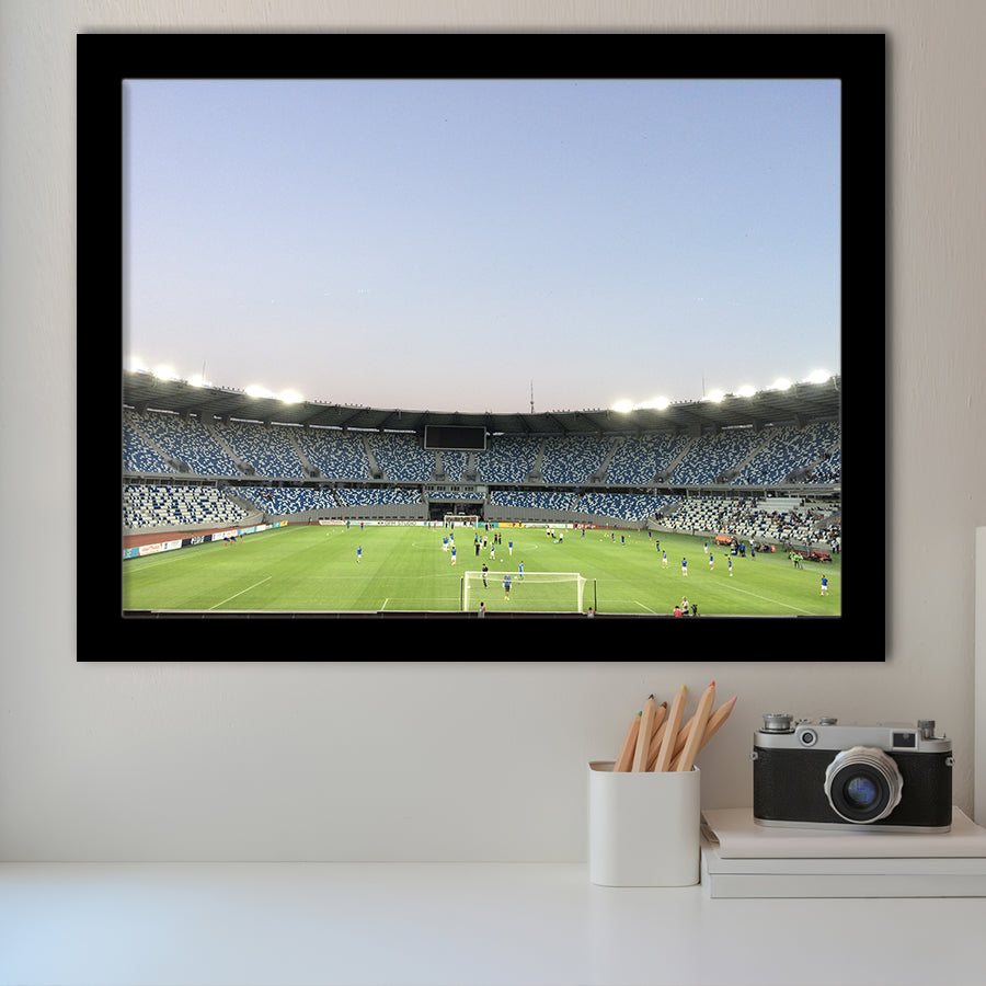 Boris Paichadze Dinamo, Stadium Canvas, Sport Art, Gift for him, Framed Art Prints Wall Art Decor, Framed Picture