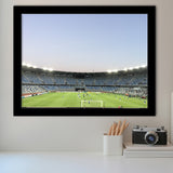 Boris Paichadze Dinamo, Stadium Canvas, Sport Art, Gift for him, Framed Art Prints Wall Art Decor, Framed Picture