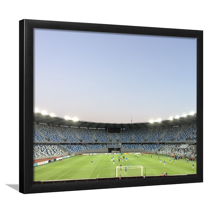 Boris Paichadze Dinamo, Stadium Canvas, Sport Art, Gift for him, Framed Art Prints Wall Art Decor, Framed Picture