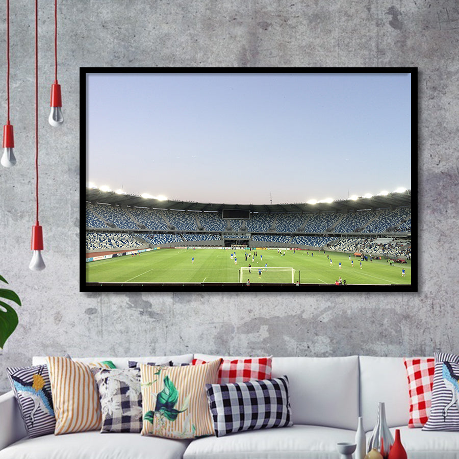 Boris Paichadze Dinamo, Stadium Canvas, Sport Art, Gift for him, Framed Art Prints Wall Art Decor, Framed Picture